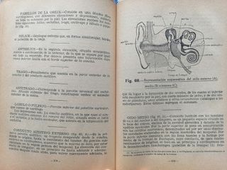 Tratado de Anatomía Fisiología Humana José Varela