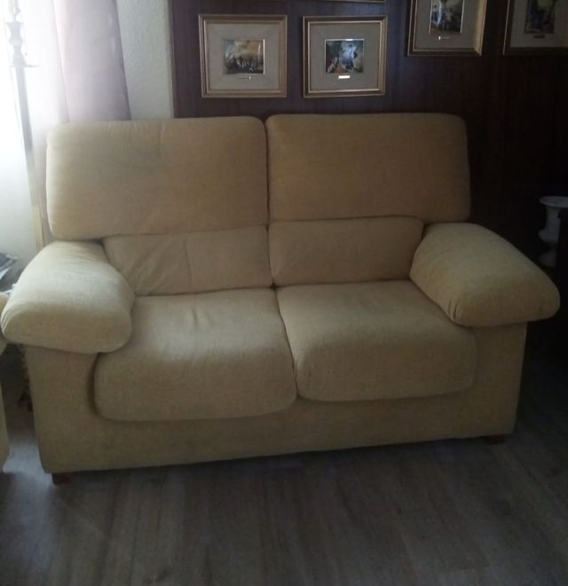 Sofá de 2 y Sofa de 3 plazas.