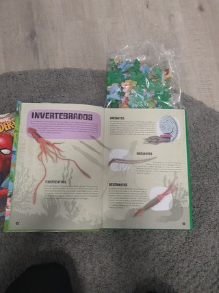 Lote libros infantiles