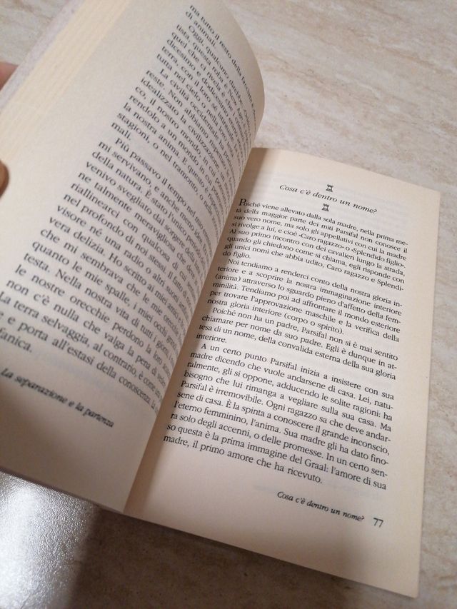 Esercizi dell'anima per soli uomini