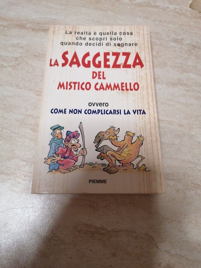 La saggezza del mistico cammello