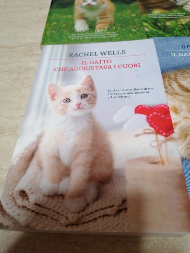 Raccolta libri storie di gatti
