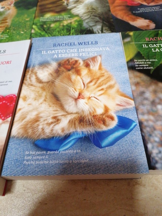 Raccolta libri storie di gatti
