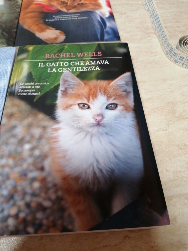 Raccolta libri storie di gatti