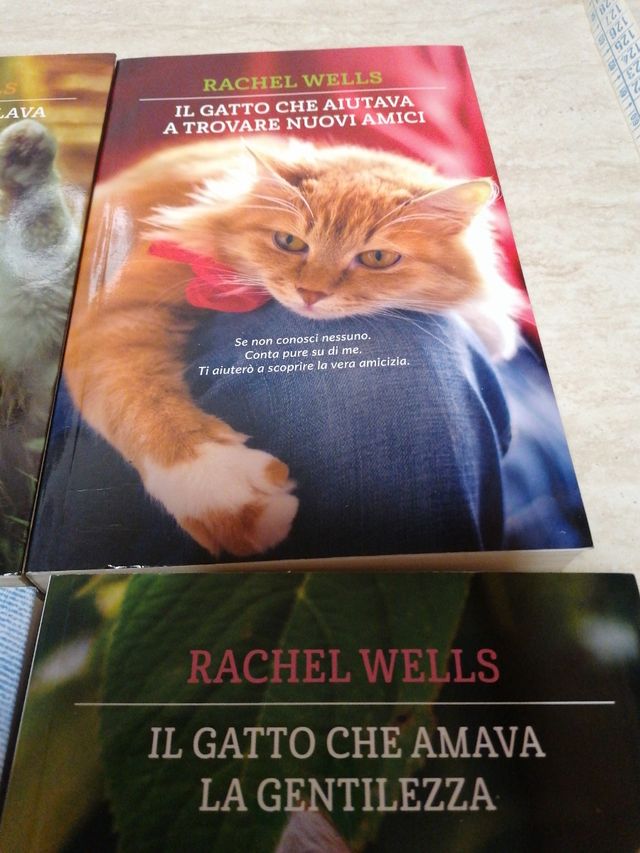 Raccolta libri storie di gatti