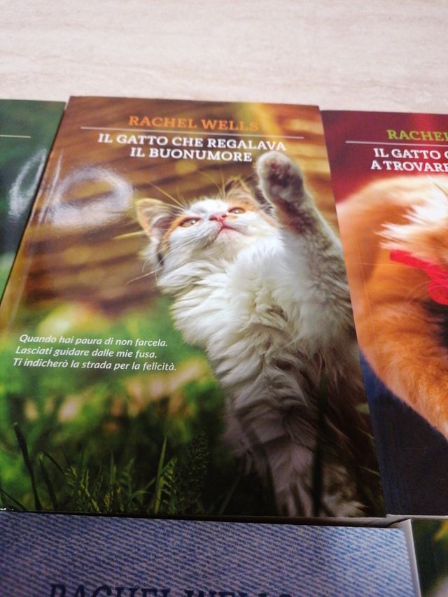 Raccolta libri storie di gatti