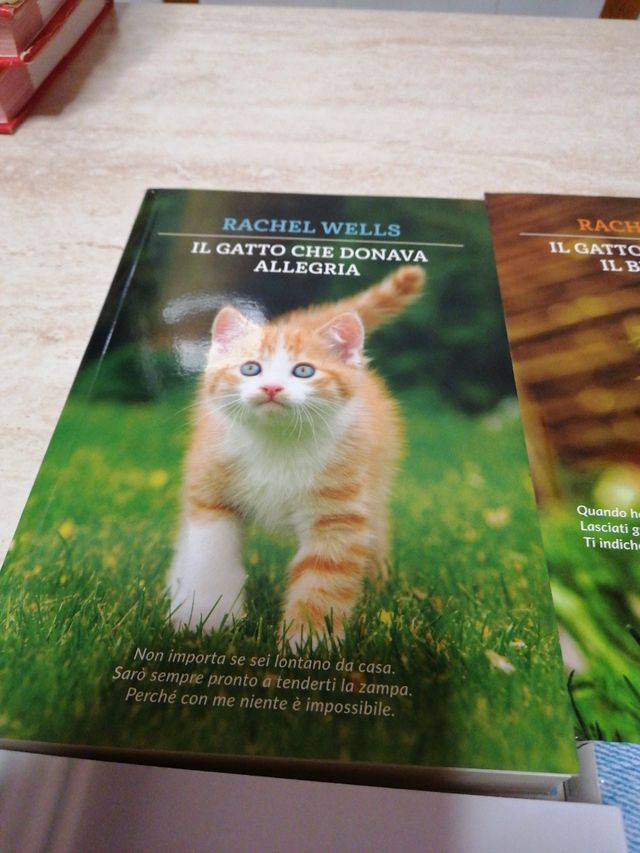 Raccolta libri storie di gatti