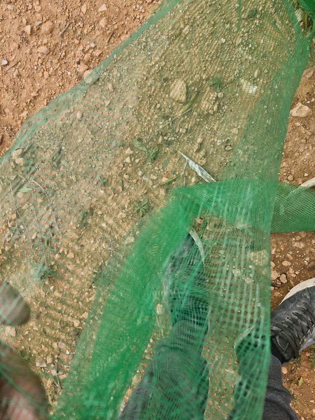 TELA ANTIGRIETA CONTRUCION