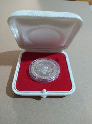 Moneta d'argento 