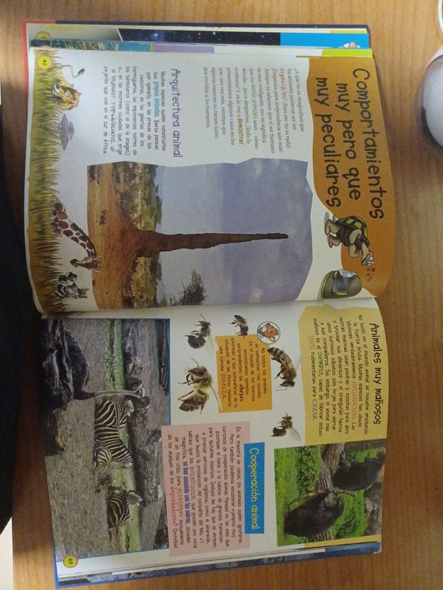 Geronimo Stilton ¿Sabías que...?: Mi gran libro de