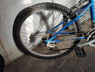 Bici 