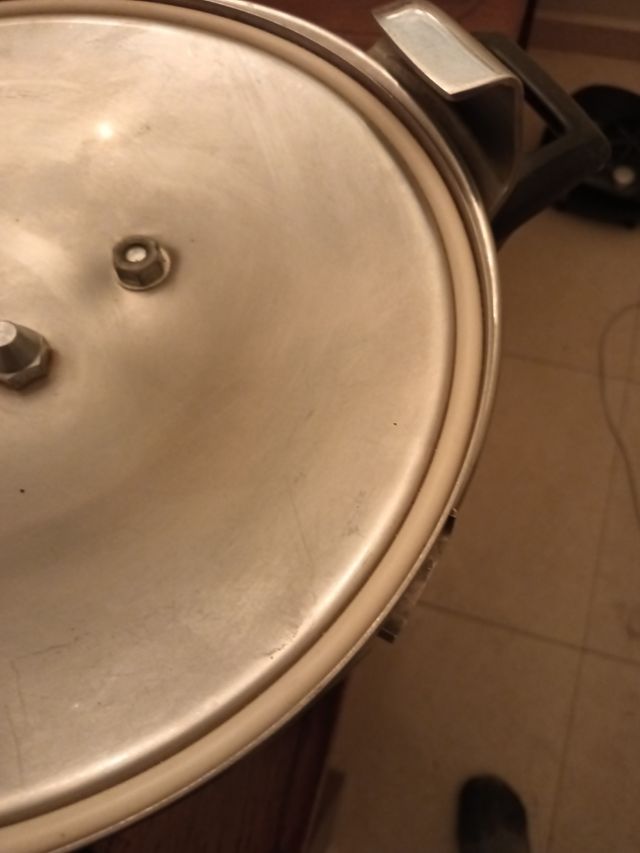 Puchero rápido con la olla express