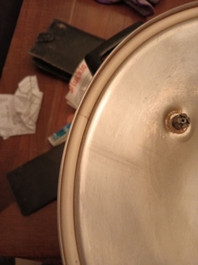 Puchero rápido con la olla express