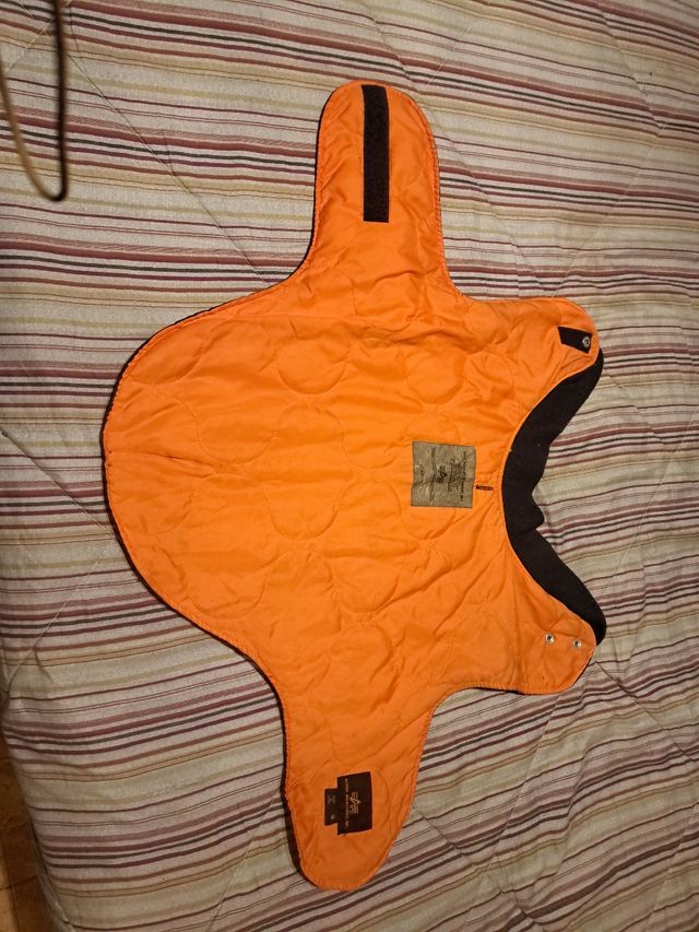 Alpha industries Dog / perro