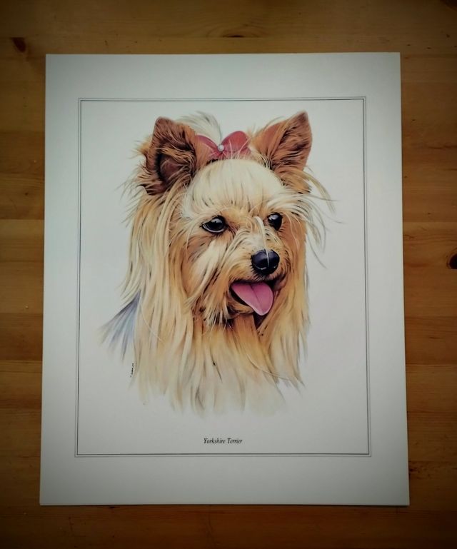 PRECIOSA COLECCIÓN 7 LAMINAS DE PERROS