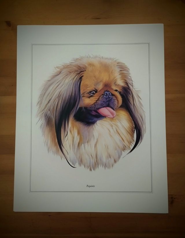 PRECIOSA COLECCIÓN 7 LAMINAS DE PERROS