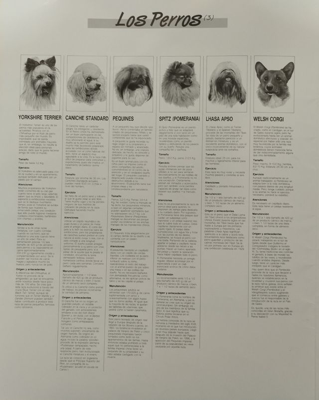 PRECIOSA COLECCIÓN 7 LAMINAS DE PERROS