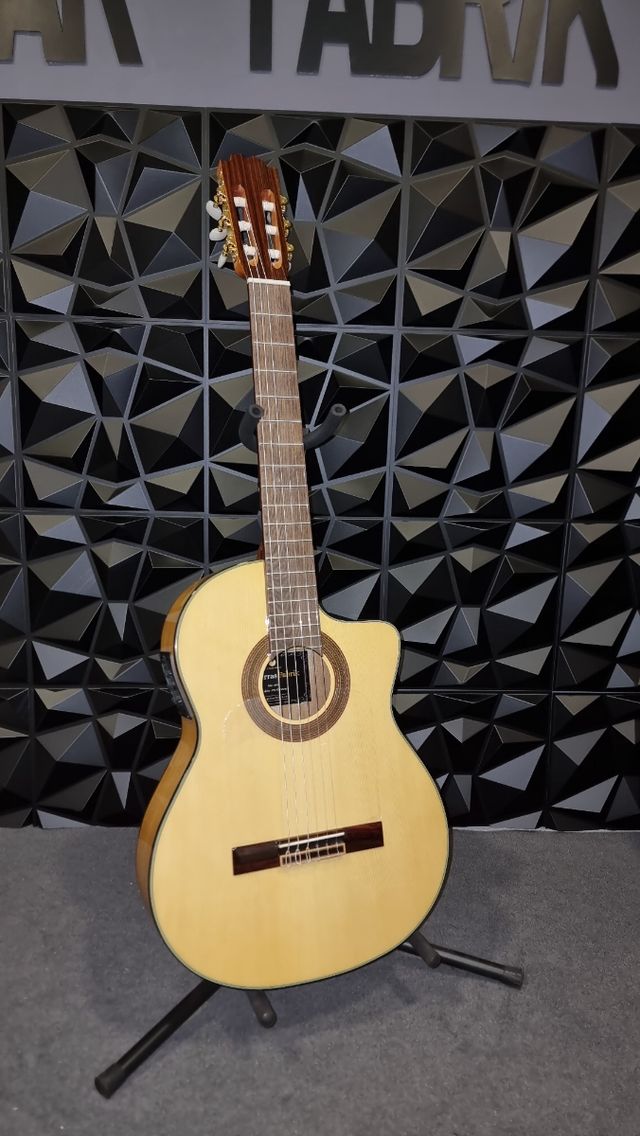 Guitarra Amplificada con cutaway