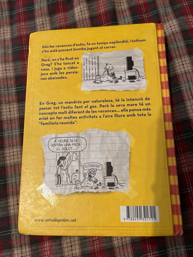 Diari del Greg 4. Quina calda!