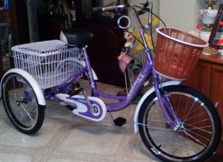 Triciclo adulto (solo venta en Cadiz ciudad))