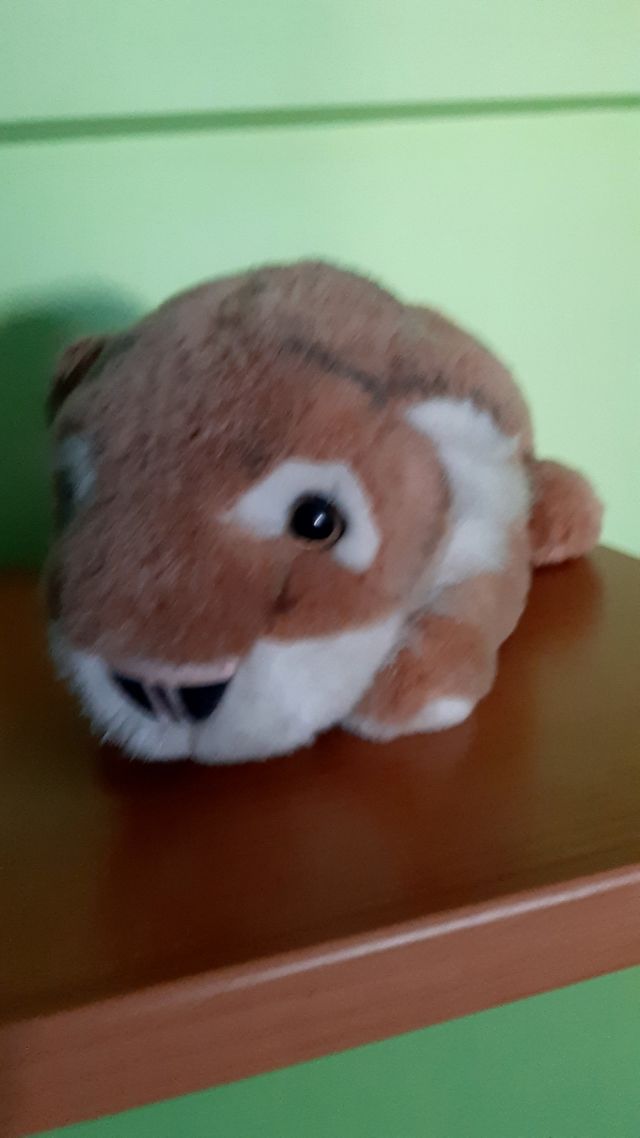 Peluche