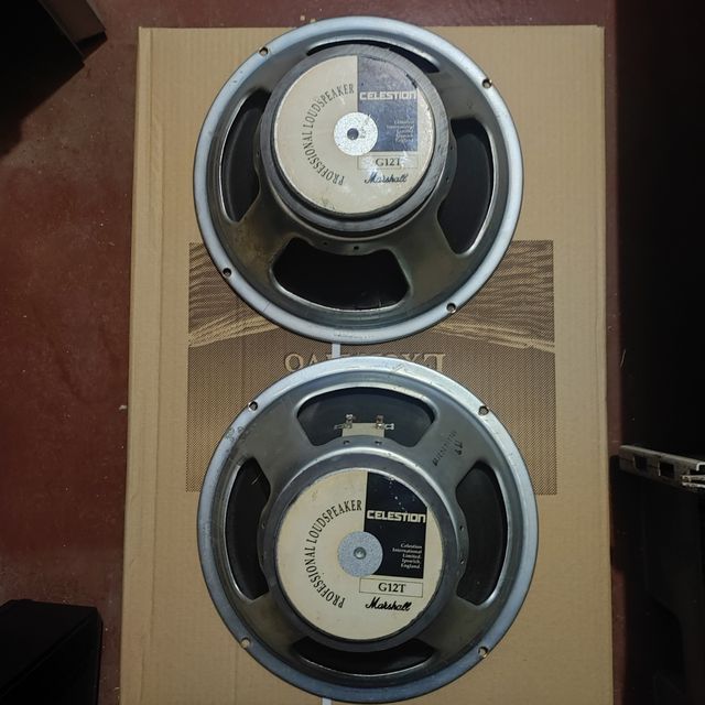 Altavoces Marshall GT12,celestino