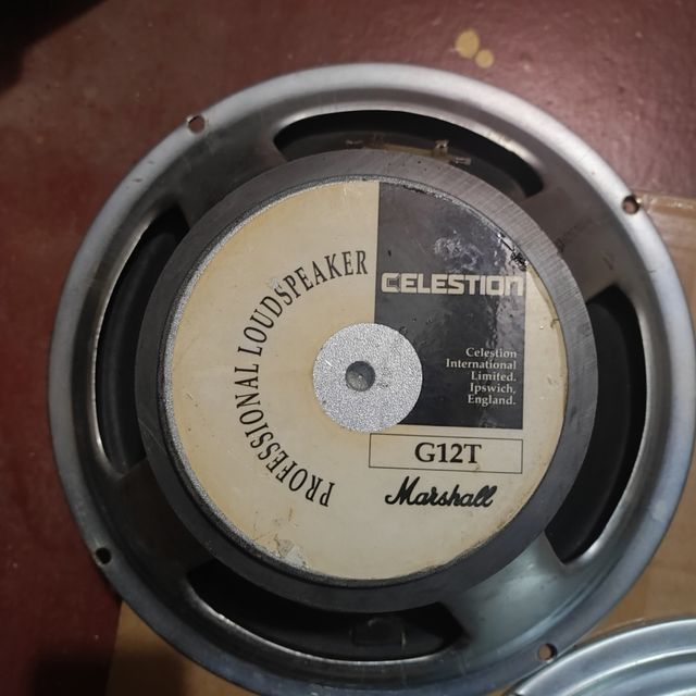 Altavoces Marshall GT12,celestino