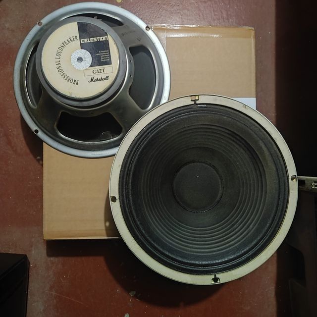 Altavoces Marshall GT12,celestino