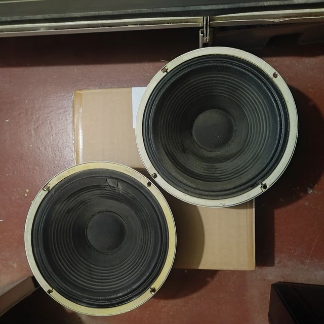 Altavoces Marshall GT12,celestino