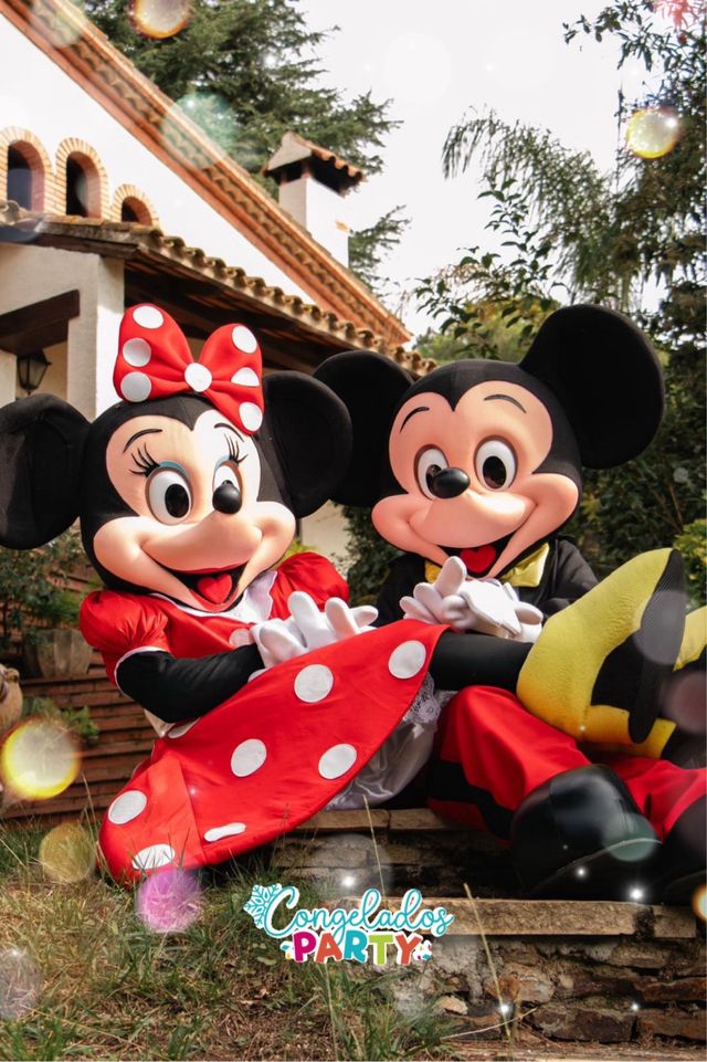 Animaciones Infantiles para cumpleaños y eventos