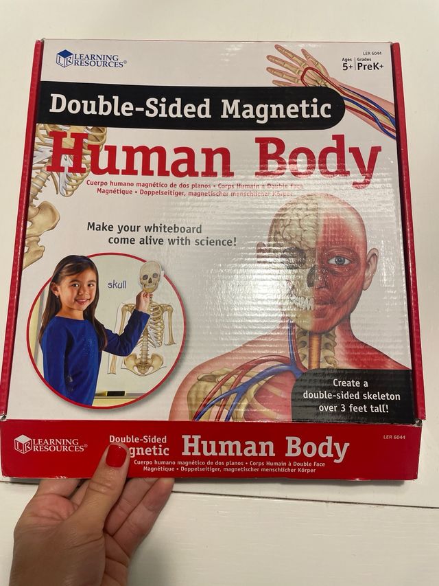 Human Body juego de imanes.
