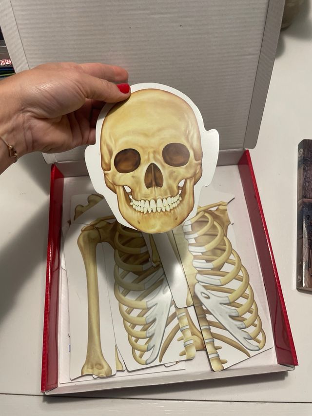 Human Body juego de imanes.