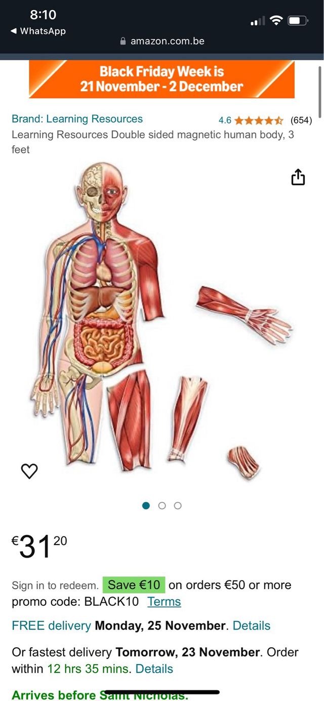 Human Body juego de imanes.