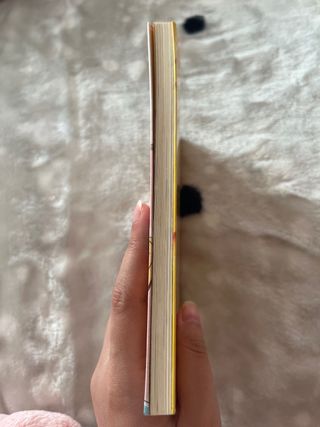 El meu nom és Stilton, Geronimo Stilton