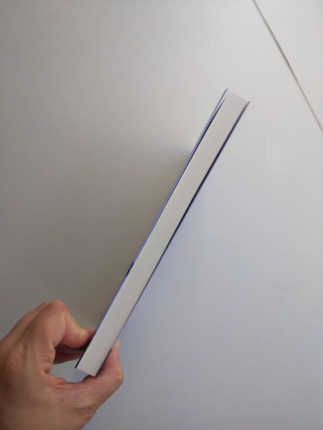 Play like a girl Blissy Marina Amores libro videoj