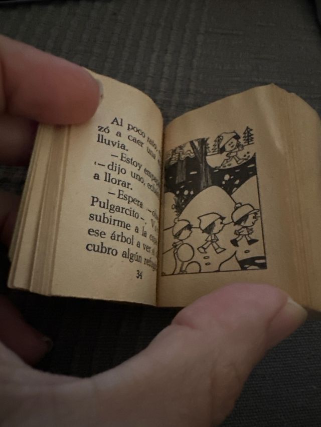 Minilibro Pulgarcito