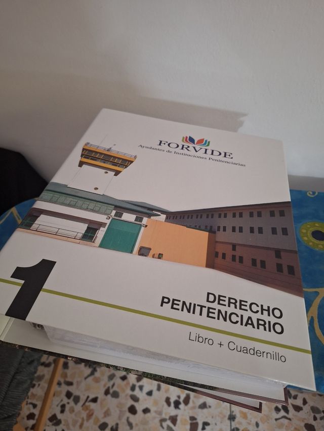 Derecho penitenciario iipp