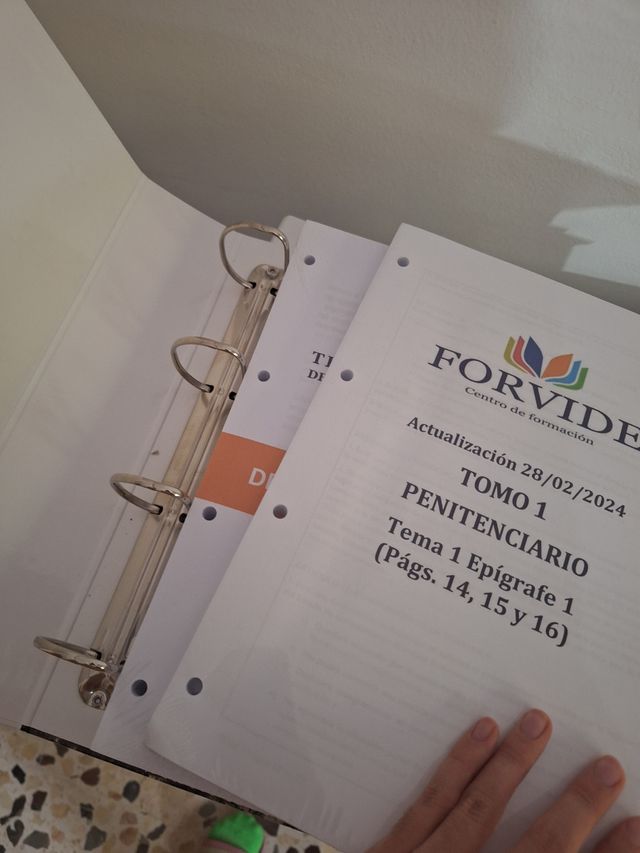 Derecho penitenciario iipp