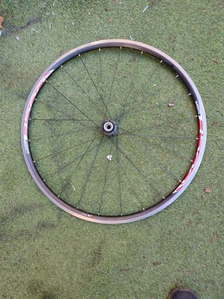 Rueda trasera carretera