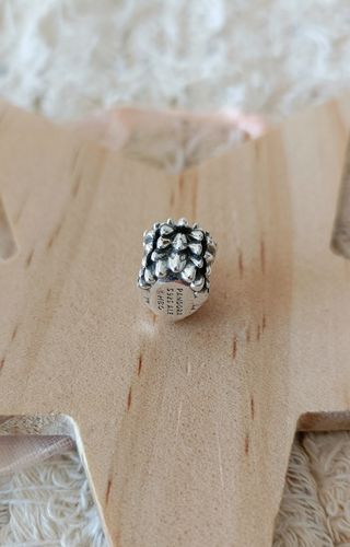 Charm de plata Cabeza de Dragón