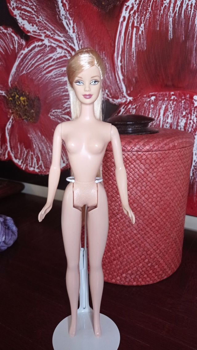 Barbie zodiaco Capricornio