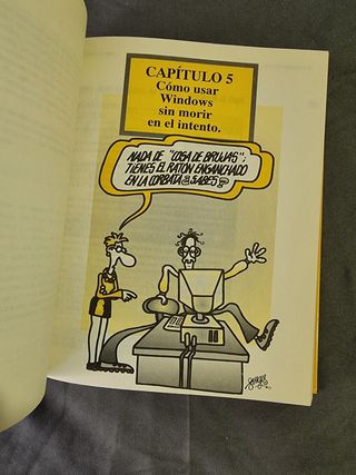 Libro Informatica Windows 3.1 para torpes libro