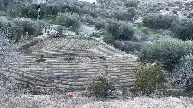 Se hacen trabajos con el tractor