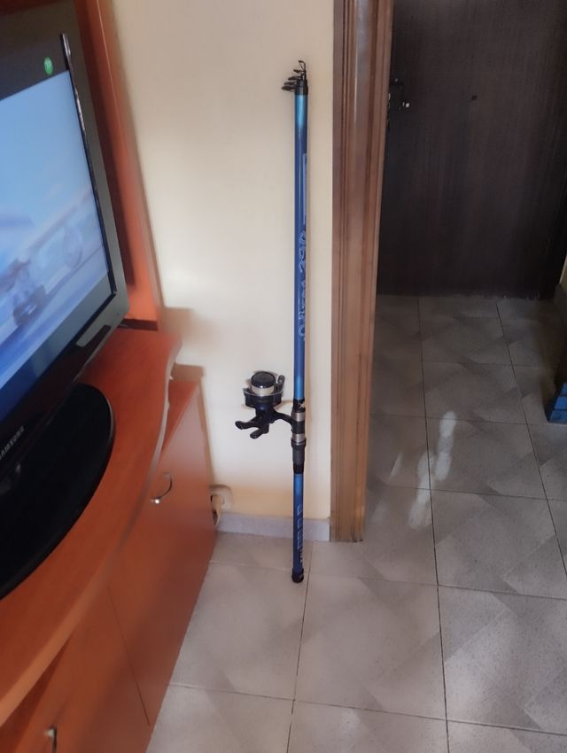 Caña telescópica de 3.80 más carrete