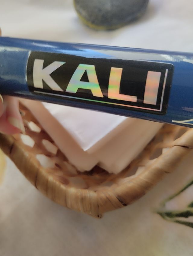 Caña telescópica de 3.80 más carrete