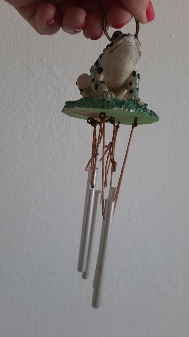 Rana- musica del vento