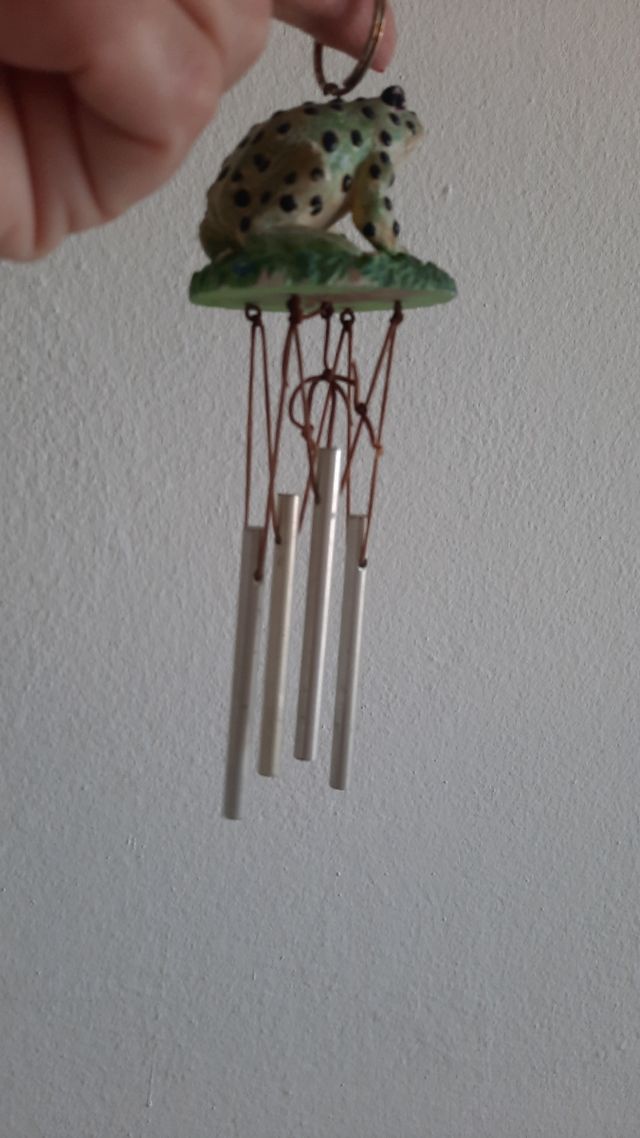 Rana- musica del vento