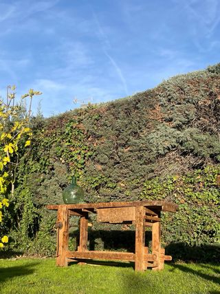 Banco Carpintero Ebanista