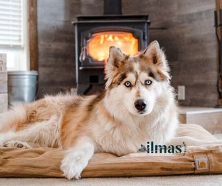 Limpiaza de chimeneas, cocinas y estufas.