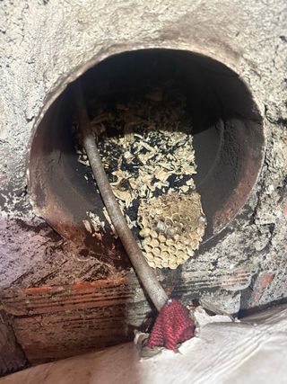 Limpiaza de chimeneas, cocinas y estufas.